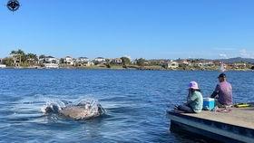 句容香溪湾吃瓜事件视频,一场网络热议的真相揭秘
