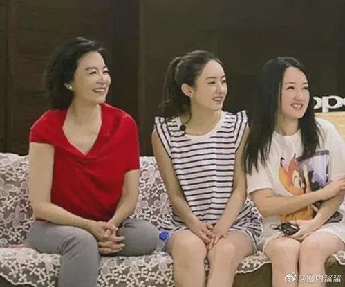 吃瓜离婚女星视频大全最新,揭秘吃瓜离婚女星视频大全背后的故事