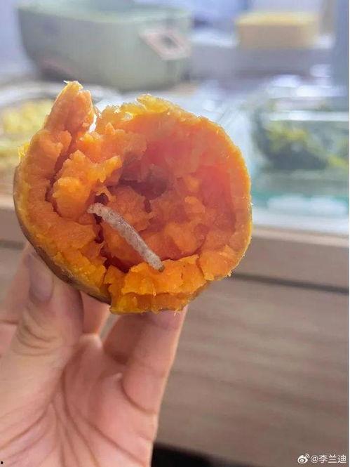 于适胡莲馨吃瓜视频,娱乐圈幕后真相大曝光