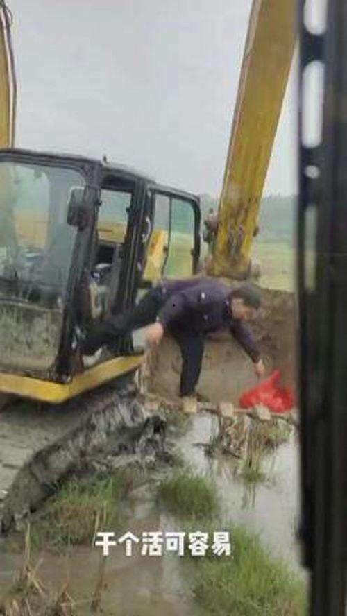 吃瓜挖掘机视频,趣味视频背后的故事与魅力