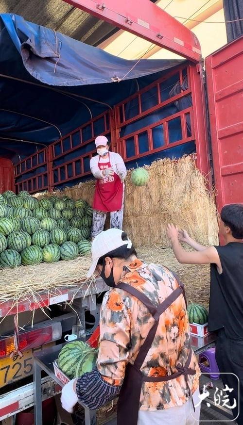 安平县吃瓜大赛事件视频,一场全民参与的欢乐盛宴