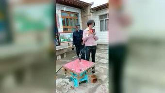 小分队在窗外吃瓜视频,小分队共享夏日悠闲时光