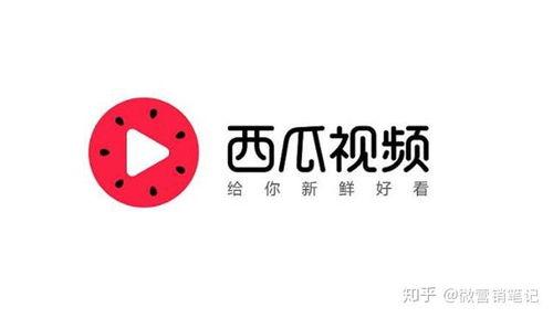 西瓜视频吃瓜协会完整版,揭秘热门事件背后的真相与笑料