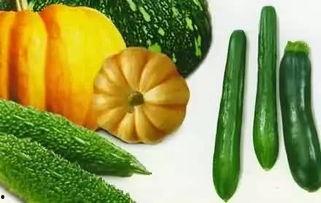 夏日吃瓜视频,瓜果飘香——跟着视频一起畅享清凉夏日