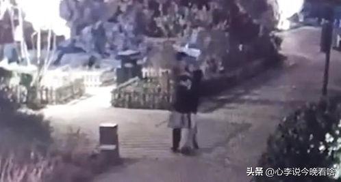 临沂吃瓜事件视频完整版,视频完整版揭秘惊人真相