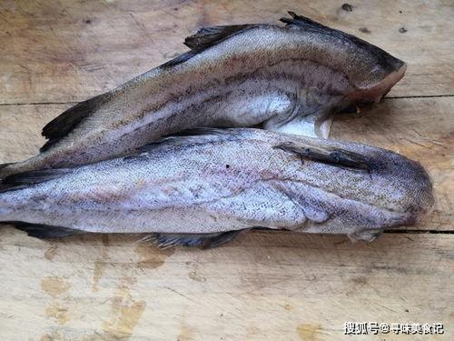 军人吃八瓜鱼视频播放,军人战士的独特味蕾体验