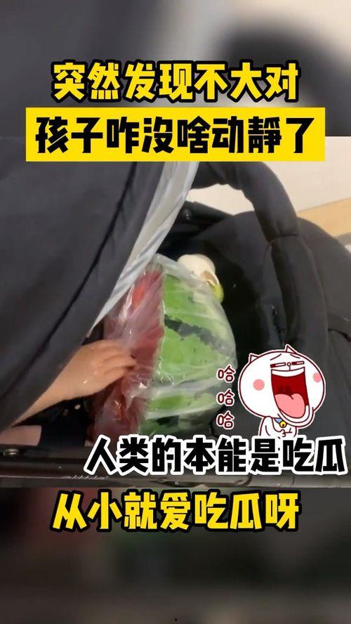 两个小孩打架吃瓜视频大全,两小孩激烈对决，吃瓜群众围观视频大盘点