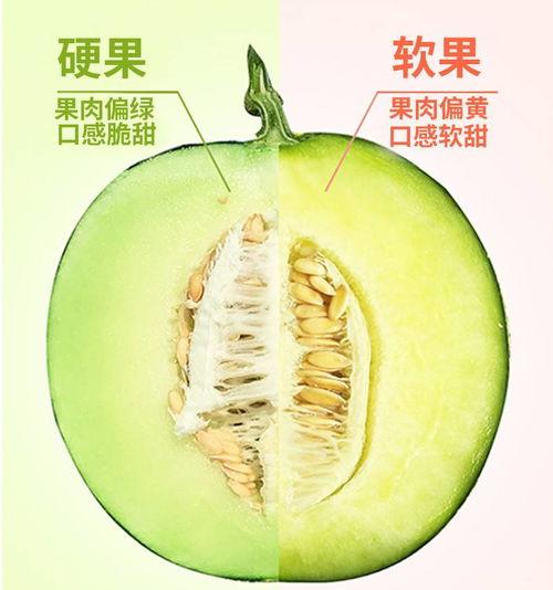 糖人吃网纹蜜瓜会胖吗视频,糖人吃后体重变化大揭秘